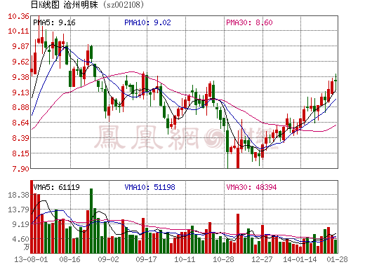 滄州明珠2013年凈利1.5億增逾兩成 隔膜銷量增