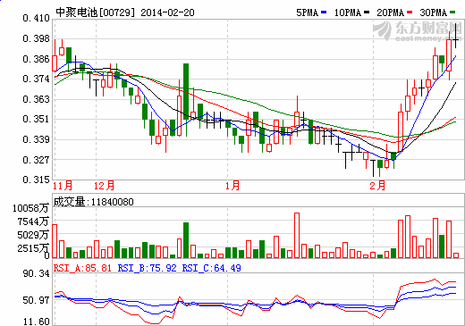 中聚電池：年產(chǎn)10萬輛杭州電動(dòng)車生產(chǎn)基地動(dòng)工 