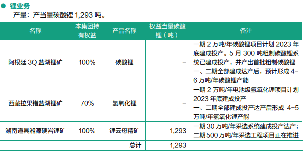 紫金礦業(yè)2023年上半年鋰業(yè)務(wù)開展情況