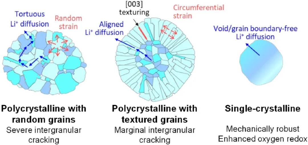 圖4 全固態(tài)電池正極材料的微觀結構設計：具有隨機取向晶粒的多晶、放射狀晶粒的多晶和單晶
