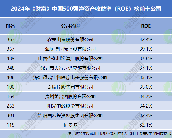 2024年《財(cái)富》中國500強(qiáng)凈資產(chǎn)收益率（ROE）榜前十公司