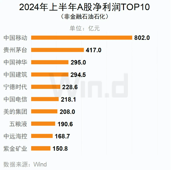 2024年上半年A股凈利潤TOP10（非金融石油石化）