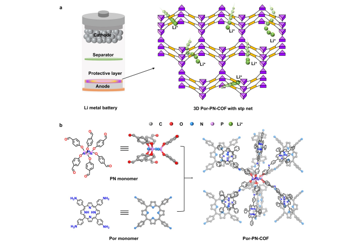 我國科學(xué)家開發(fā)出新型三維共價有機框架 可提升鋰金屬電池性能